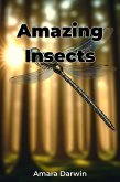 Amazing Insects (eBook, ePUB)