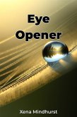 Eye Opener (eBook, ePUB)