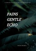 Pains gentle echo (eBook, ePUB)