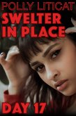 Swelter in Place: Day 17 (eBook, ePUB)