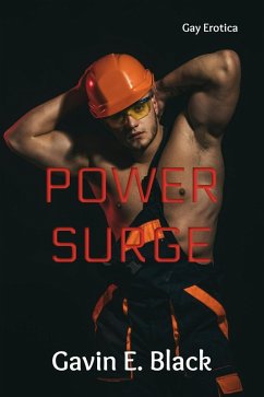 Cover Power Surge: Gay Erotica (eBook, ePUB)