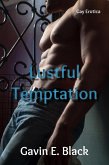 Lustful Temptation: Gay Erotica (eBook, ePUB) Lustful Temptation: Gay Erotica (eBook, ePUB)
