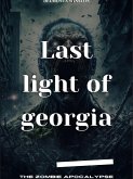 Last Light Of Georgia (eBook, ePUB)