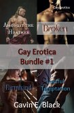 Gay Erotica Bundle #1 (eBook, ePUB) Gay Erotica Bundle #1 (eBook, ePUB)