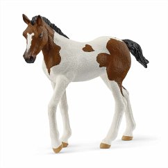 Cover Schleich 14899 - Horse Club, Paint Horse Fohlen, Tierfigur, Länge: 8,4 cm