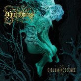Bioluminescence Bioluminescence