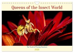 Queens of the Insect World (Wall Calendar 2026 DIN A4 landscape), CALVENDO 12 Month Wall Calendar