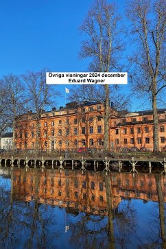 Övriga visningar 2024 december (eBook, ePUB) Cover Övriga visningar 2024 december (eBook, ePUB)