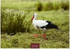 Störche Kalender 2026 - Wandkalender   Fotokalender Tierkalender 35x50cm Grosses Format - Inspirierende Storch-Motive für Natur- und Tierkalenderliebhaber.