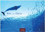 Wale und Delfine Kalender 2026 - Wandkalender   Fotokalender Tierkalender 35x50cm Grosses Format - Hochwertige Fotografien von Walen und Delfinen, die jeden Monat begeistern.