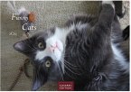Funny Cats Kalender 2026 - Wandkalender   Fotokalender Tierkalender 24x35cm - Witziger Katzenkalender