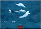 Wale und Delfine Kalender 2026 - Wandkalender   Fotokalender Tierkalender 24x35cm - Hochwertige Fotografien von Walen und Delfinen, die jeden Monat begeistern. Wale und Delfine Kalender 2026 - Wandkalender   Fotokalender Tierkalender 24x35cm - Hochwertige Fotografien von Walen und Delfinen, die jeden Monat begeistern.
