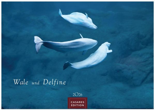 Wale und Delfine Kalender 2026 - Wandkalender Fotokalender Tierkalender 24x35cm - Hochwertige Fotografien von Walen und Delfinen, die jeden Monat begeistern. Wale und Delfine Kalender 2026 - Wandkalender Fotokalender Tierkalender 24x35cm - Hochwertige Fotografien von Walen und Delfinen, die jeden Monat begeistern.