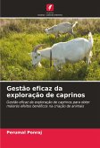 Gestão eficaz da exploração de caprinos