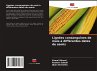 Lignées consanguines de maïs à... - Bild 1