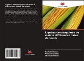 Lignées consanguines de maïs à différentes dates de semis Lignées consanguines de maïs à différentes dates de semis