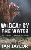 Wildcat By The Water Wildcat By The Water