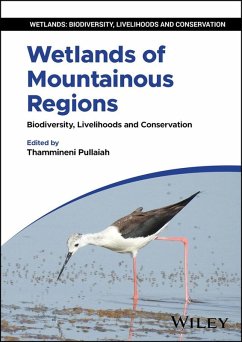 Wetlands of Mountainous Regions (eBook, PDF)