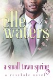 A Small Town Spring (Rosedale Seasons, #5) (eBook, ePUB)