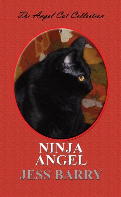 Cover Ninja Angel (Angel Cat Collection, #3) (eBook, ePUB)