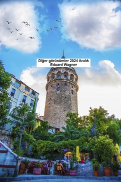 Diger görünümler 2024 Aralik (eBook, ePUB) Cover Diger görünümler 2024 Aralik (eBook, ePUB)
