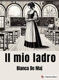 Il mio ladro (eBook, ePUB)