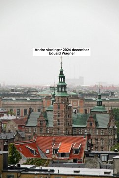 Cover Andre visninger 2024 december (eBook, ePUB)