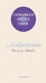 Gedankenspiele über das Geheimnis (eBook, ePUB)