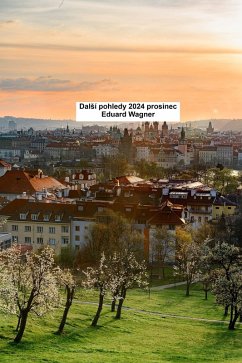 Cover DalSí pohledy 2024 prosinec (eBook, ePUB)