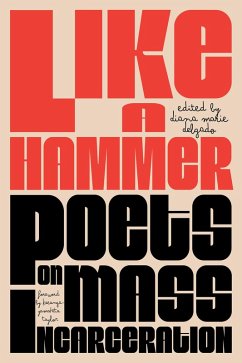 Cover Like a Hammer (eBook, ePUB)