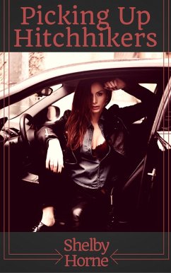 Cover Picking Up Hitchhikers (eBook, ePUB)