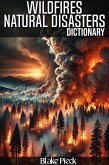 Wildfires Dictionary - Natural Disasters (Grow Your Vocabulary) (eBook, ePUB) Wildfires Dictionary - Natural Disasters (Grow Your Vocabulary) (eBook, ePUB)