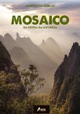 Mosaico (eBook, PDF)