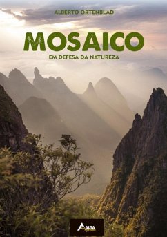 Cover Mosaico (eBook, PDF)