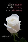 As Pétalas Secaram, O Caule Está Vivo, A Rosa Não Morreu (eBook, PDF)