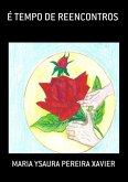 É Tempo De Reencontros (eBook, PDF)