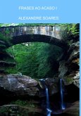 Frases Ao Acaso I (eBook, PDF)