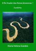 O Rio Voador Das Matas Amazonas ! (eBook, PDF)