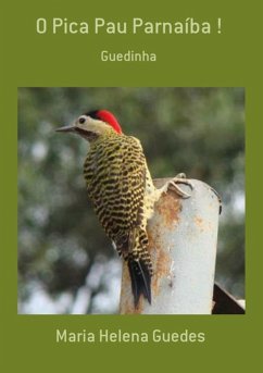 Cover O Pica Pau Parnaíba ! (eBook, PDF)