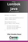 Usando O Lombok No Java No Ambiente Intellij Idea (eBook, PDF)