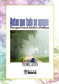 Antes Que Tudo Se Apague (eBook, PDF)
