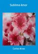 Sublime Amor (eBook, PDF) - Bild 1