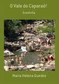 O Vale Do Caparaó! (eBook, PDF)