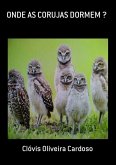 Onde As Corujas Dormem ? (eBook, PDF)