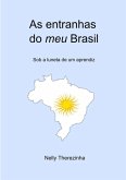 As Entranhas Do Meu Brasil (eBook, PDF)