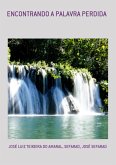 Encontrando A Palavra Perdida (eBook, PDF)