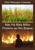 Não Há Mais Milho Próximo Ao Rio Brasos (eBook, PDF)