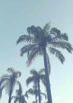 Cover Casa De Praia. Roteiro Adaptável (eBook, PDF)