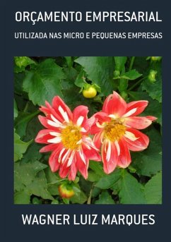 Cover Orçamento Empresarial (eBook, PDF)