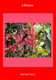 A Baiana (eBook, PDF)
